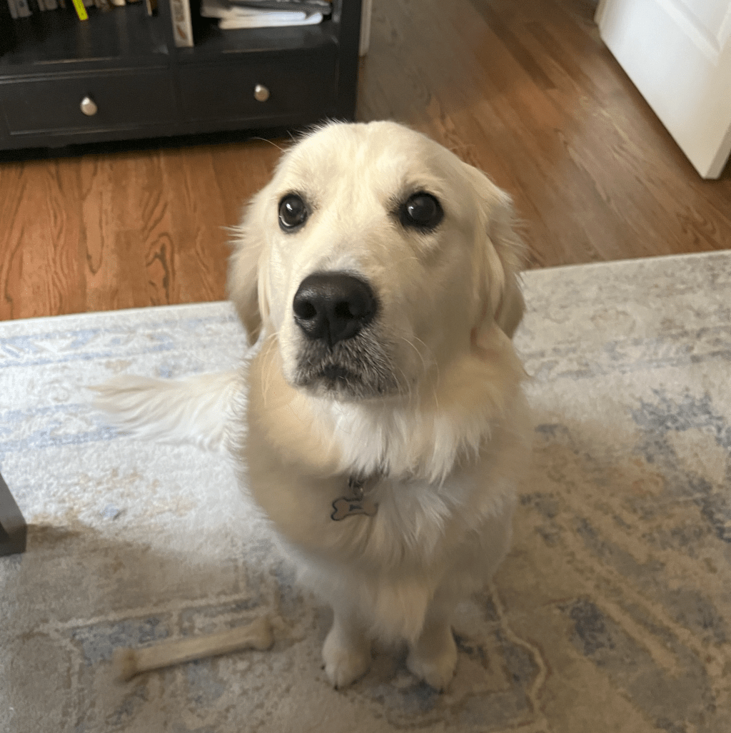 The Sweet Sack of Sugar and the&nbsp;Sage